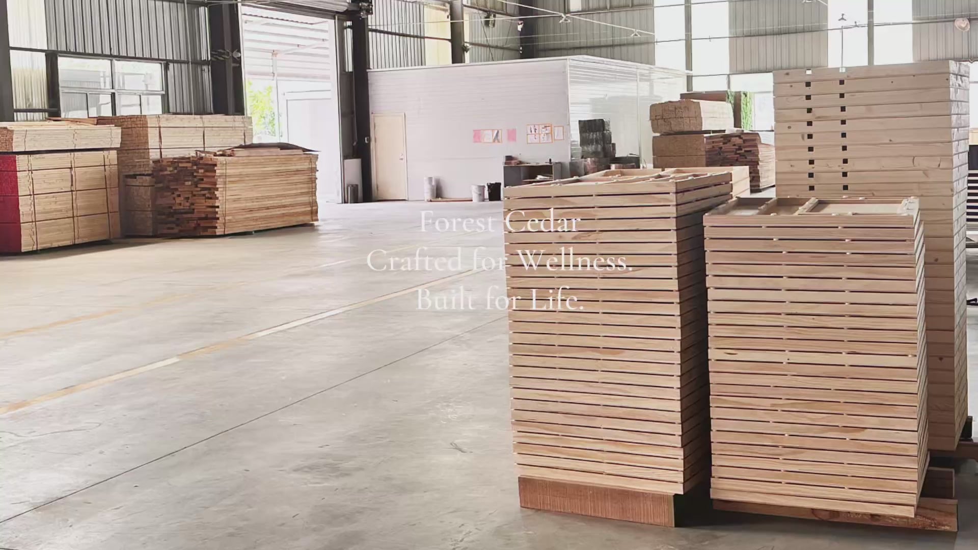 Load video: 